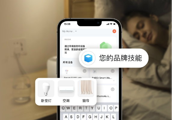 百度小度技能定制