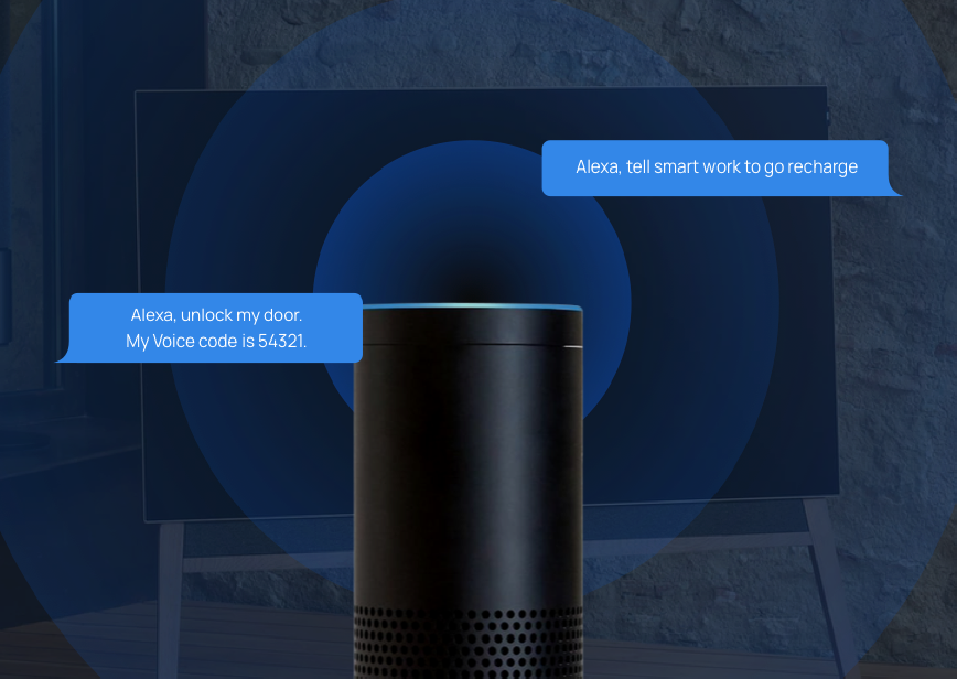 Amazon Alexa 高级接入（付费版）
