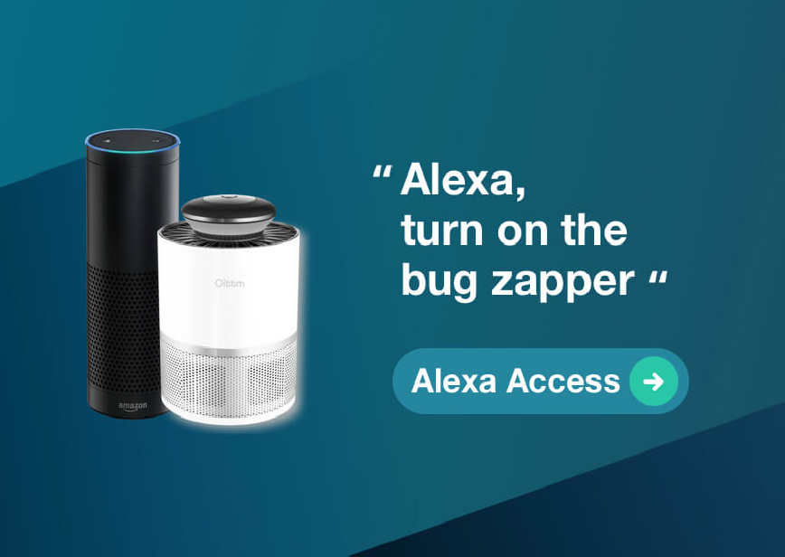 Amazon Alexa Access