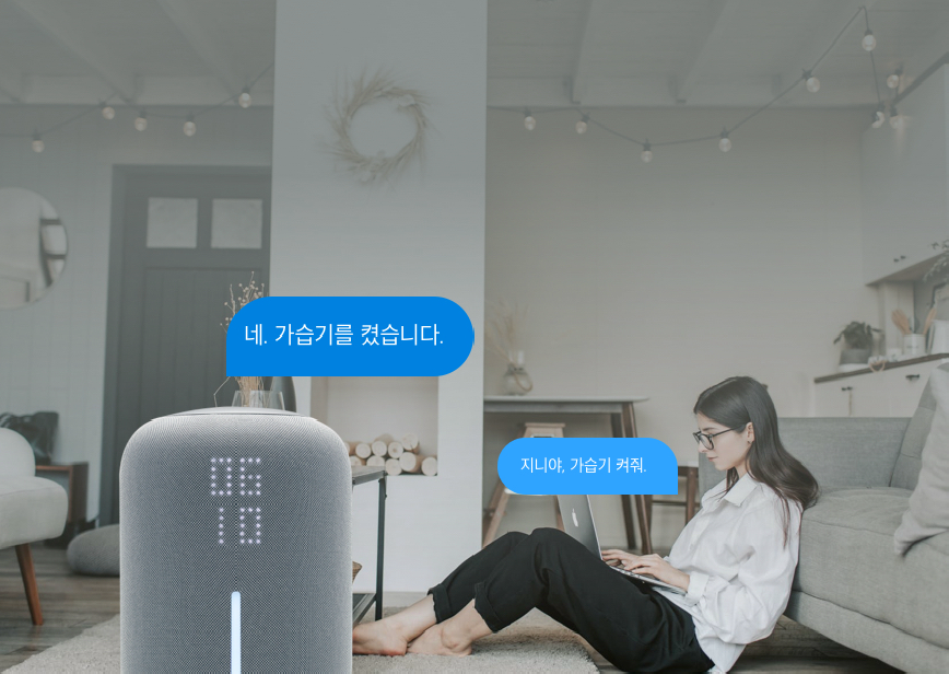 GiGA Genie Access