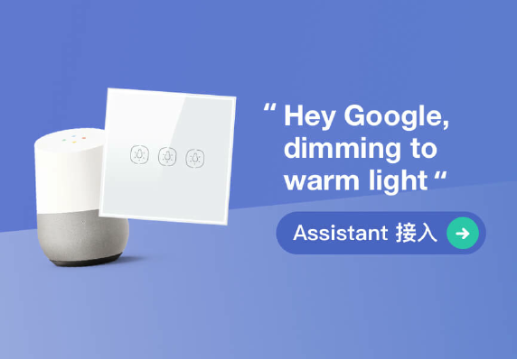 Google Assistant 接入