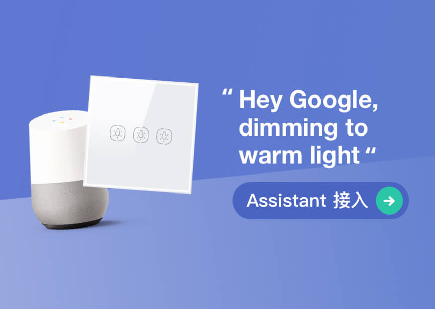 Google Assistant 接入