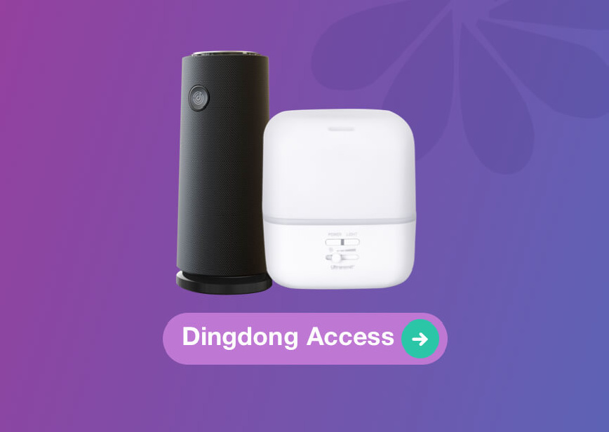 JD Dingdong Access