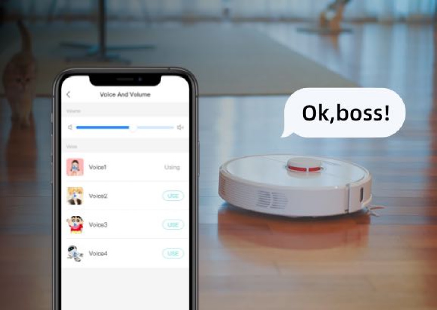 Personalized Voice Package Management